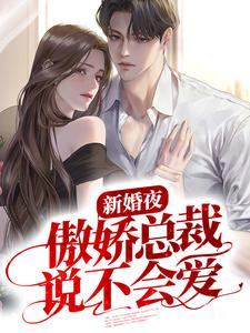 精品推荐《新婚夜，傲娇总裁说不会爱》小说_(主角是慕羽晴古斯彦)新婚夜，傲娇总裁说不会爱最新全本小说