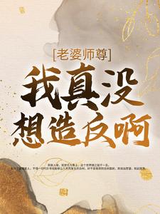 主角是王轩林清寒的小说_王轩林清寒全本免费阅读