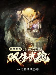 必看小说武魂时代：开局觉醒双生武魂陈凡刘琳李梅王强_武魂时代：开局觉醒双生武魂(陈凡刘琳李梅王强)小说全本