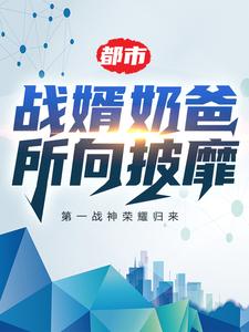 都市：战婿奶爸所向披靡杨风叶梦妍马东杨盼盼小说免费阅读全文_都市：战婿奶爸所向披靡小说全本