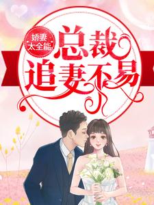 最近很火的小说《娇妻太全能，总裁追妻不易》小说_(主角是纪辰凌白汐陈慧)娇妻太全能，总裁追妻不易小说阅读