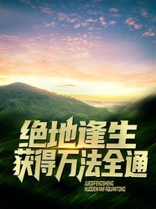 绝地逢生，获得万法全通叶辰朱丽娟全本章节阅读_绝地逢生，获得万法全通小说无弹窗