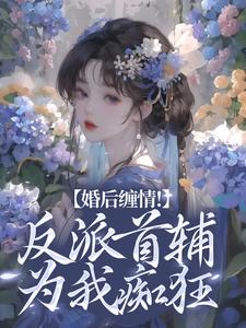 主角是辛月影沈清起孟如心霍齐的小说_辛月影沈清起孟如心霍齐最新全本小说