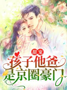 全本小说甜宠：孩子他爸是京圈豪门蓝鸢陆宸_甜宠：孩子他爸是京圈豪门(蓝鸢陆宸)小说全文阅读