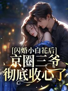 闪婚小白花后，京圈三爷彻底收心了刑赫野夏小梨谢晚凝唐闻小说全文免费阅读_闪婚小白花后，京圈三爷彻底收心了小说无广告