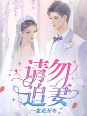 请勿追妻苏晓果许如季乔最新免费_请勿追妻小说阅读