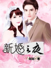 新婚之夜宋世明徐佳然全本小说_新婚之夜免费全本阅读