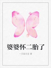 婆婆怀二胎了秦云秦云妈妈苏苏小说无弹窗_婆婆怀二胎了全本免费阅读