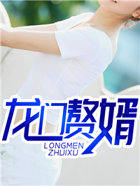 龙门赘婿_银河水人_楚风柳如梦王世俊柳婉仪_全本免费