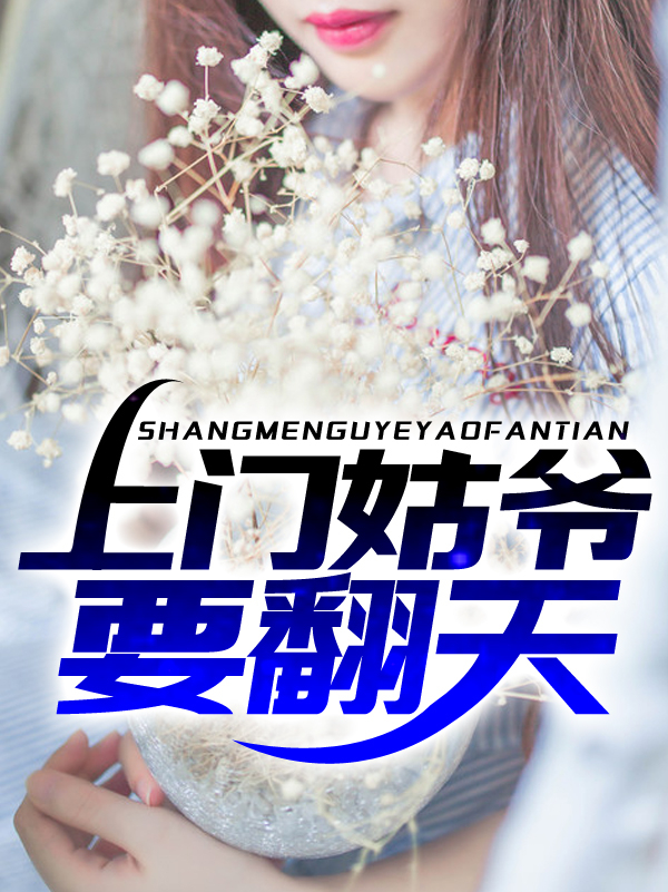 上门姑爷要翻天林乾坤肖子安白梦蝶免费全本_上门姑爷要翻天小说全本