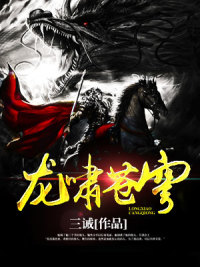 龙啸九州风逵风忠义林伟林豪英最新小说_龙啸九州全本章节阅读
