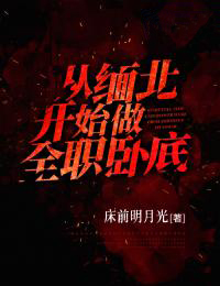 从缅北开始做全职卧底慕光老张短毛小说最新章节_从缅北开始做全职卧底最新章节